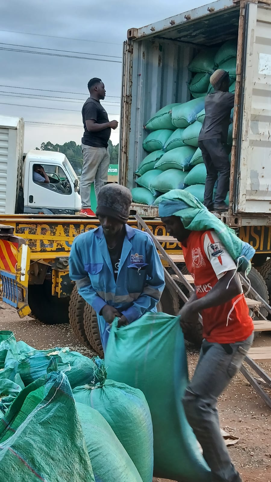 Logistics and Transport