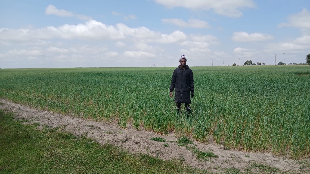 Harvested Fields
